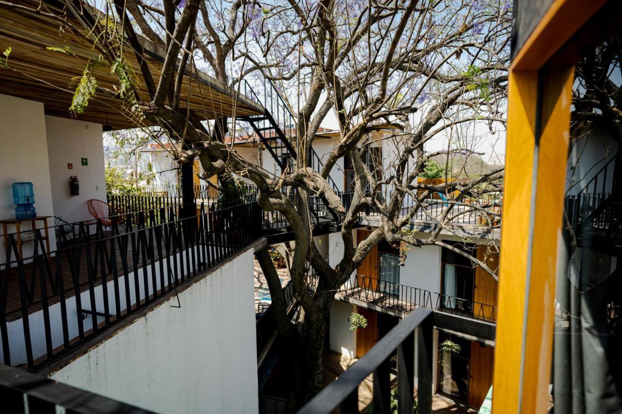 Hotel Con Corazon Oaxaca Exteriér fotografie