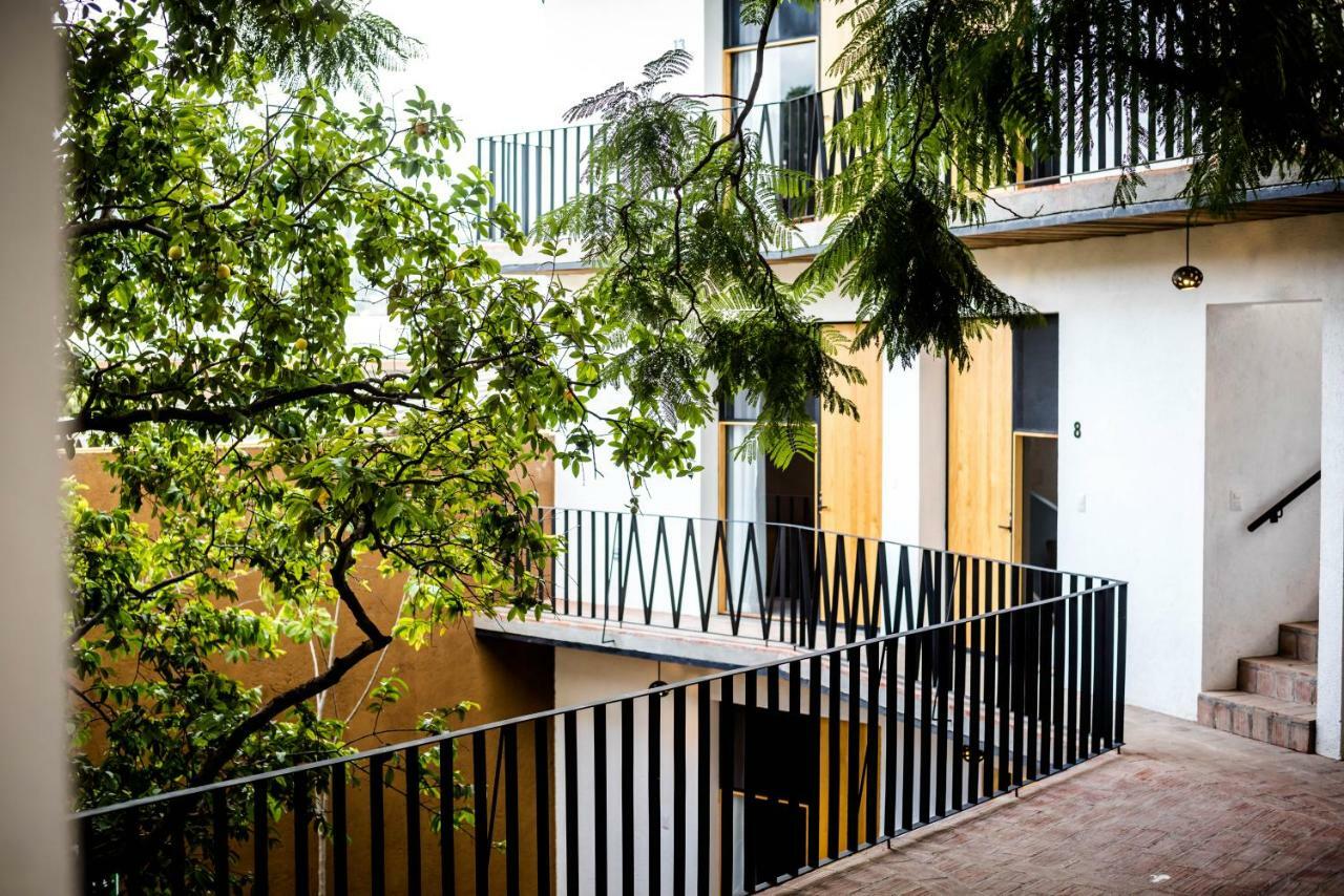 Hotel Con Corazon Oaxaca Exteriér fotografie