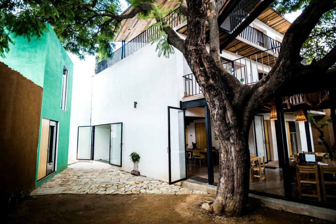 Hotel Con Corazon Oaxaca Exteriér fotografie